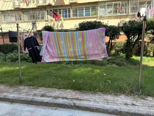向心力提升居民幸福感凯发k8网站文明凝聚(图2)